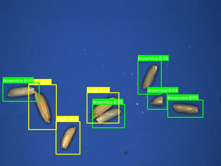 Paddy and brown rice distinguished within a mixed sample