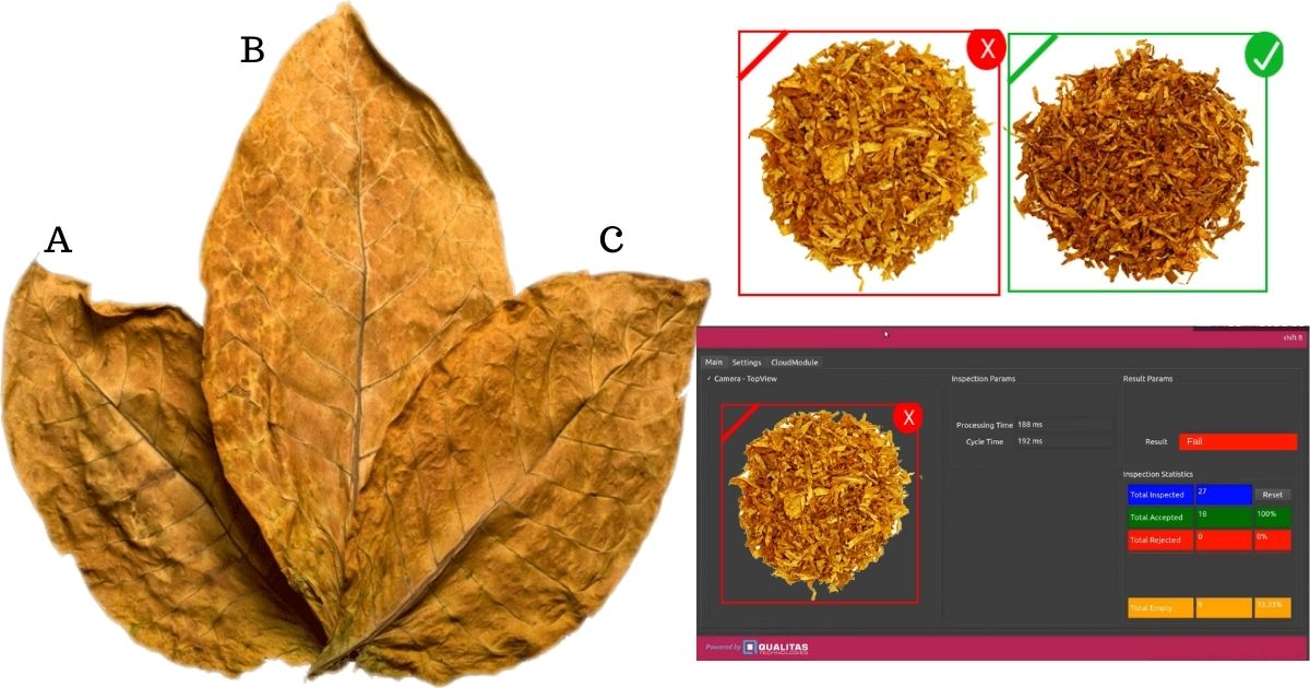 Tobacco classification with AI-powered vision system